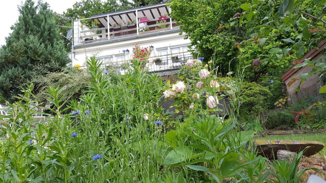 Les Iris Chambres D'Hote Niedermorschwihr Exterior foto