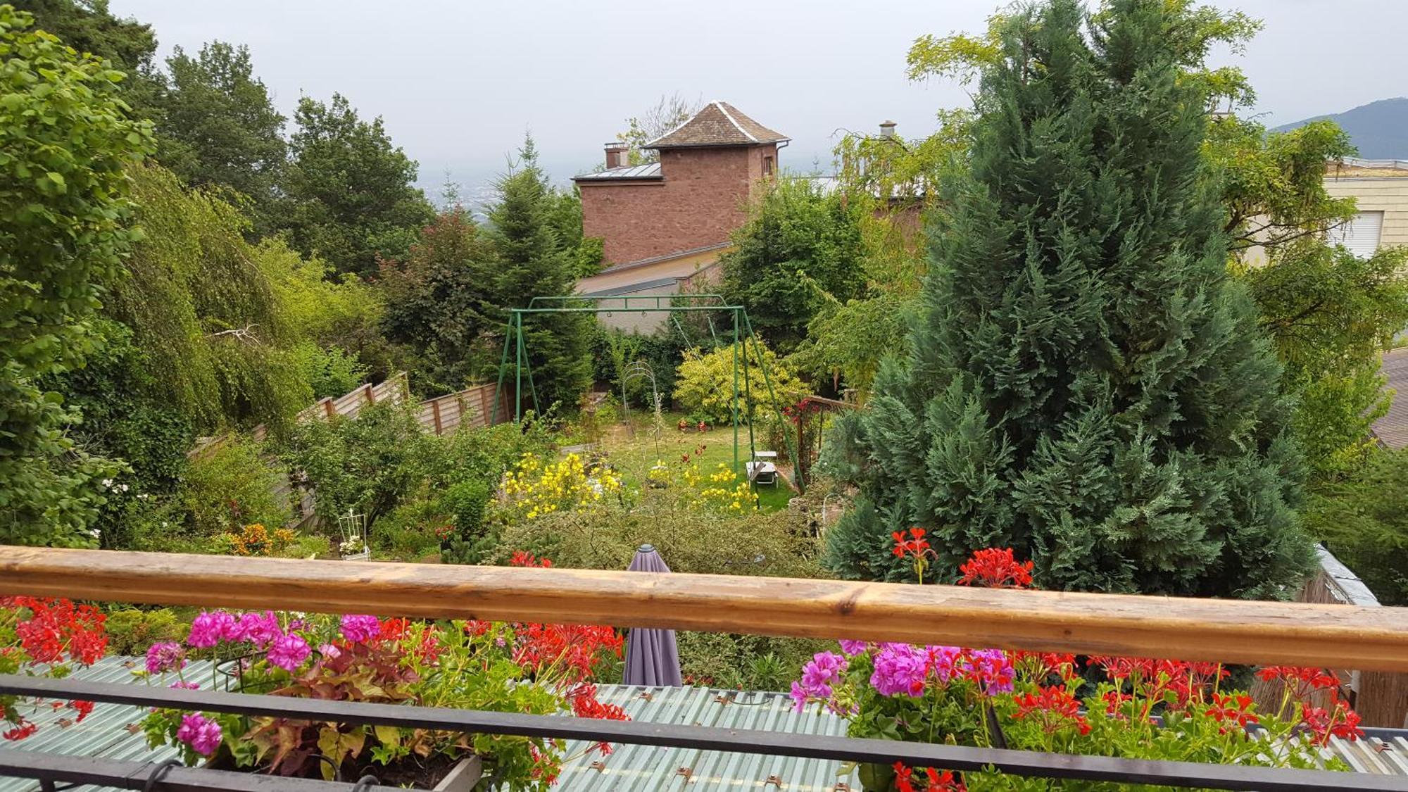 Les Iris Chambres D'Hote Niedermorschwihr Cameră foto
